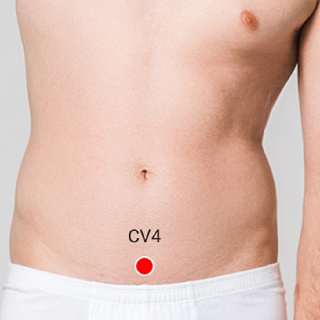 Detox Patches - EMF Harmonized