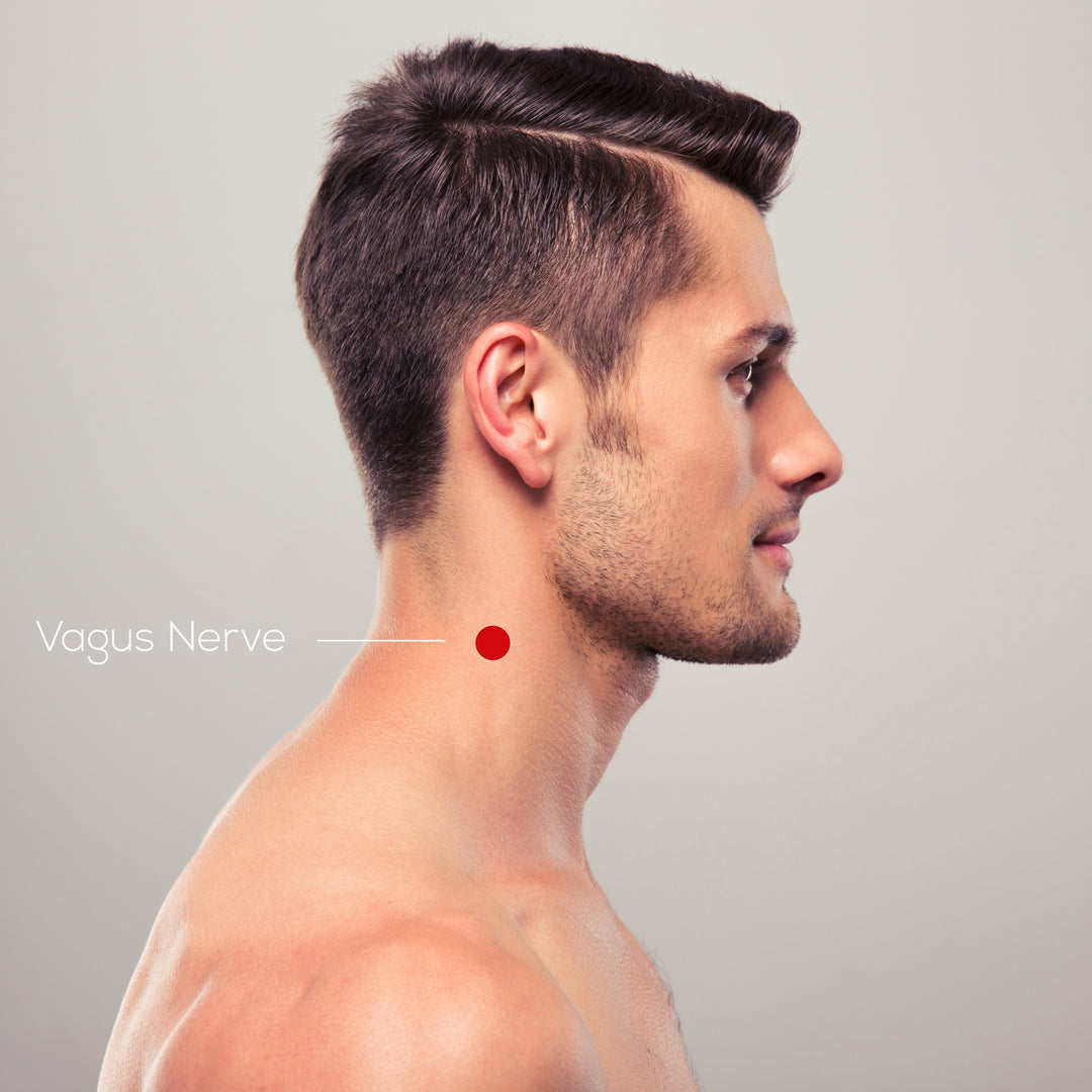 Sweet Dreams Sleep Patches - EMF Harmonized